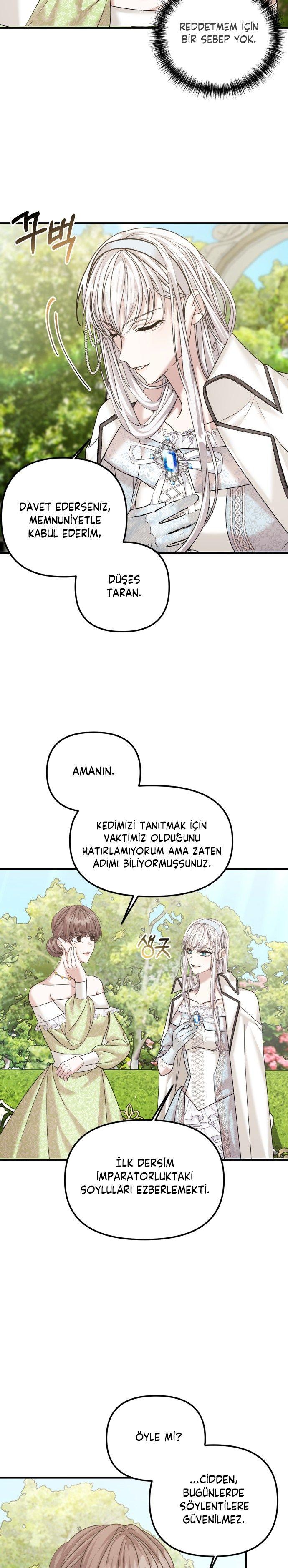 17-cmp7adijf02jxucsxarxrcxnh
