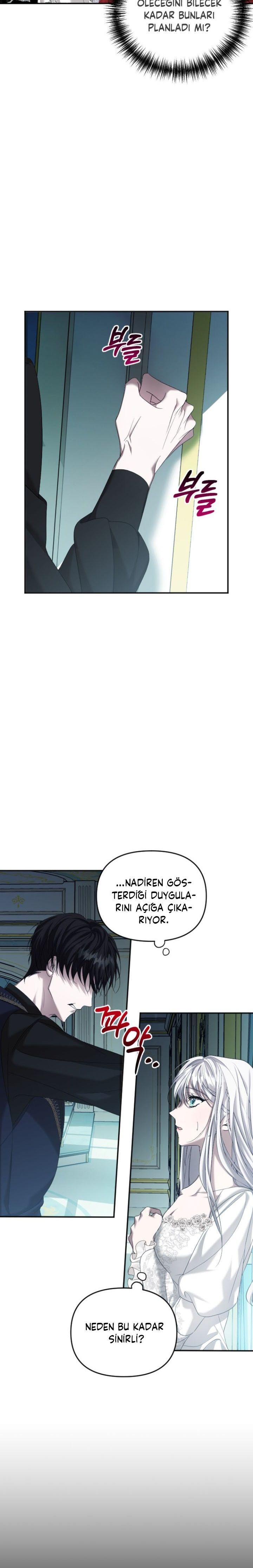 19-cmp7adijf02jxucsxarxrcxnh