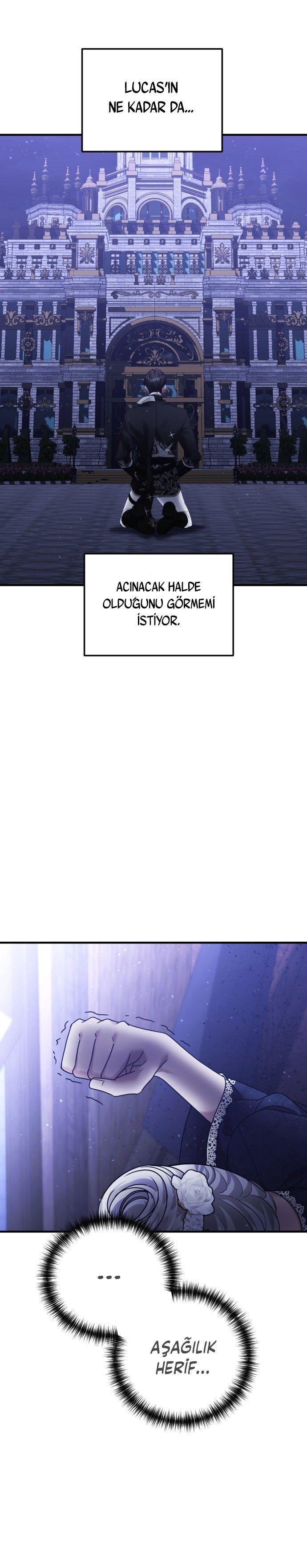 17-cmp7adijf02jxucsxarxrcxnh