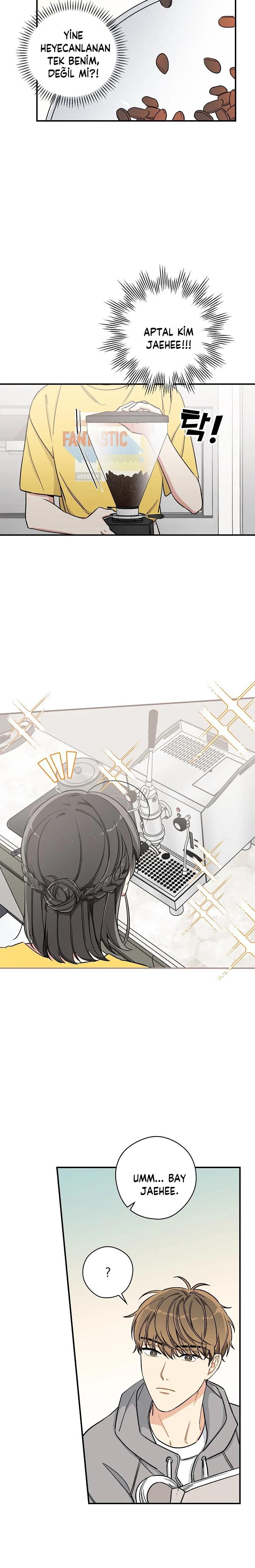 17-cmc1vvo430025phxcd4xhnki2