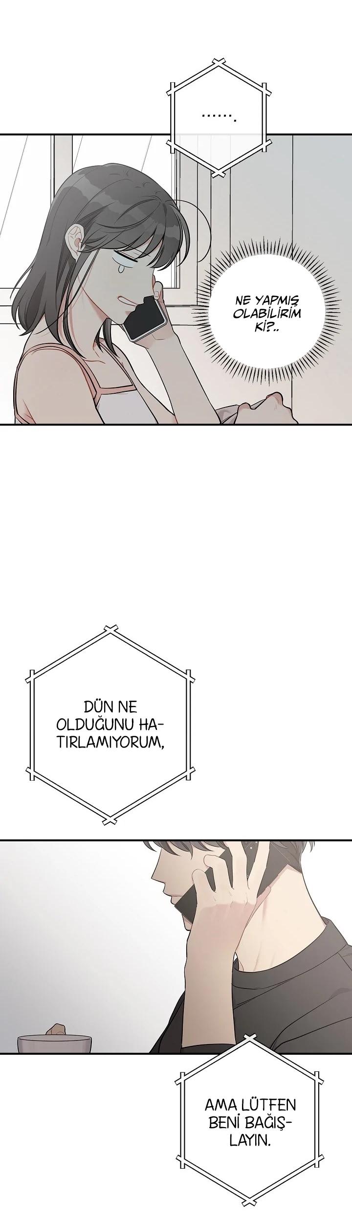 3-cmc1vvo430025phxcd4xhnki2