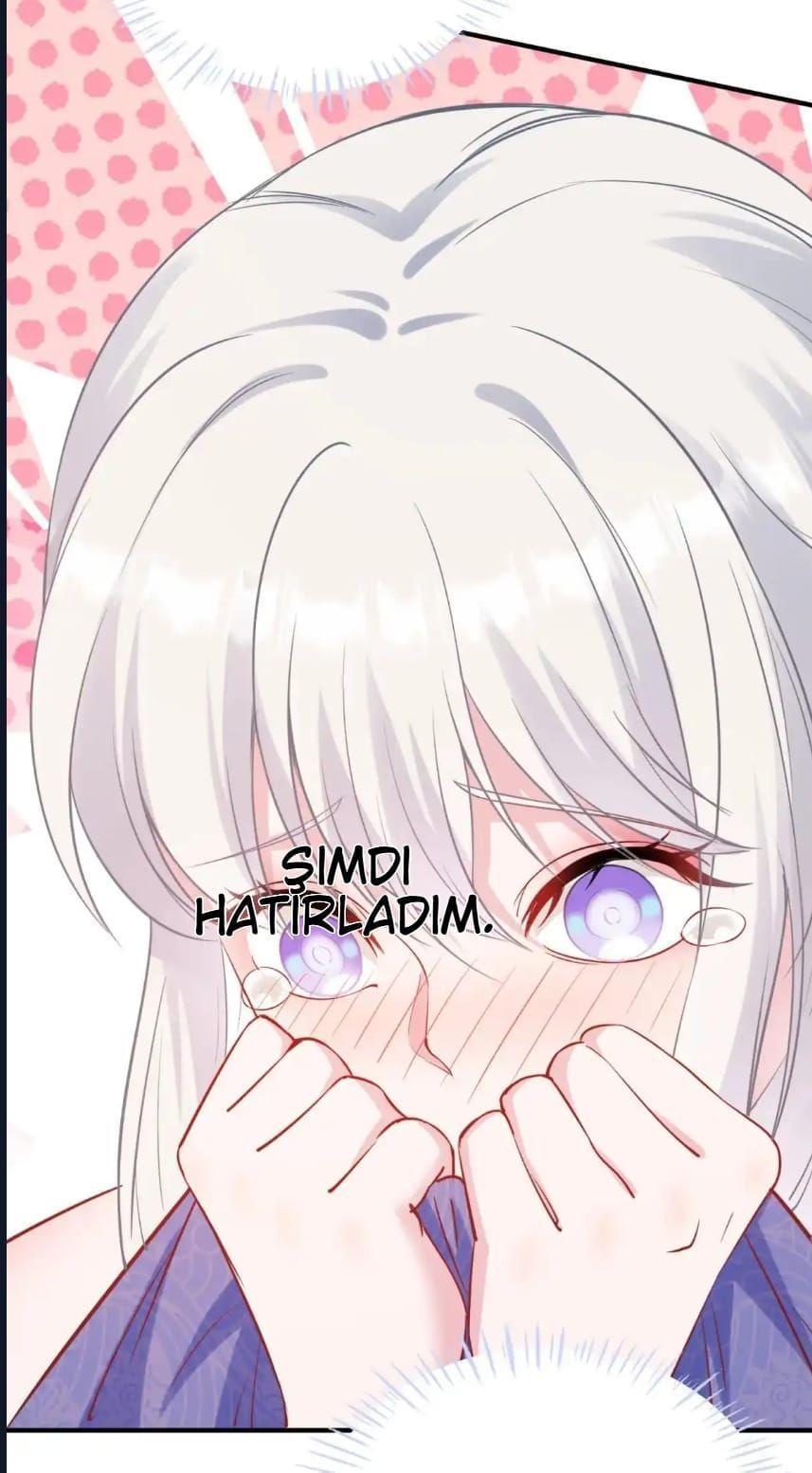 58-cmnq2268807i4ucwa0pciz3a1