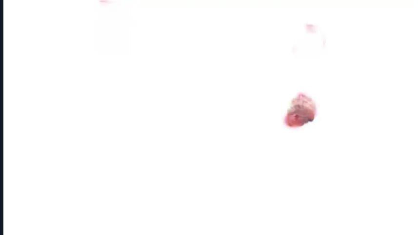 40-cmnq2268807i4ucwa0pciz3a1