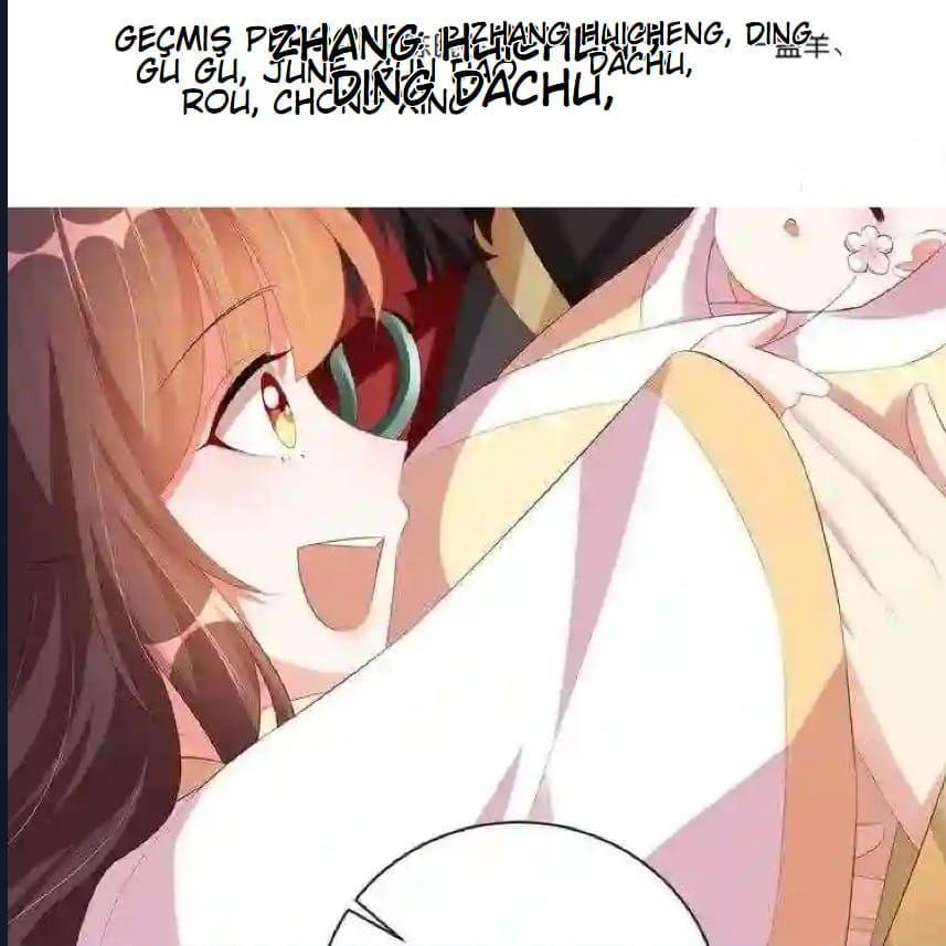 11-cmnq2268807i4ucwa0pciz3a1