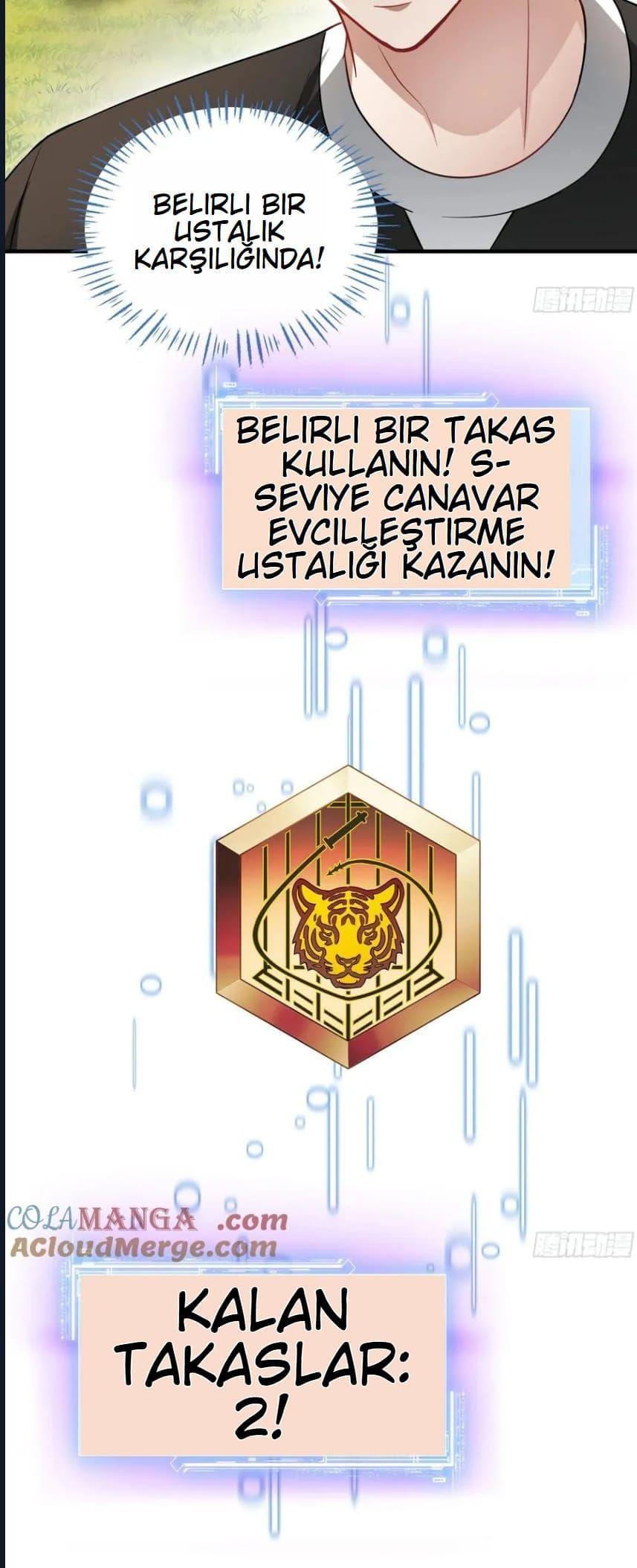 15-cmnq2268807i4ucwa0pciz3a1