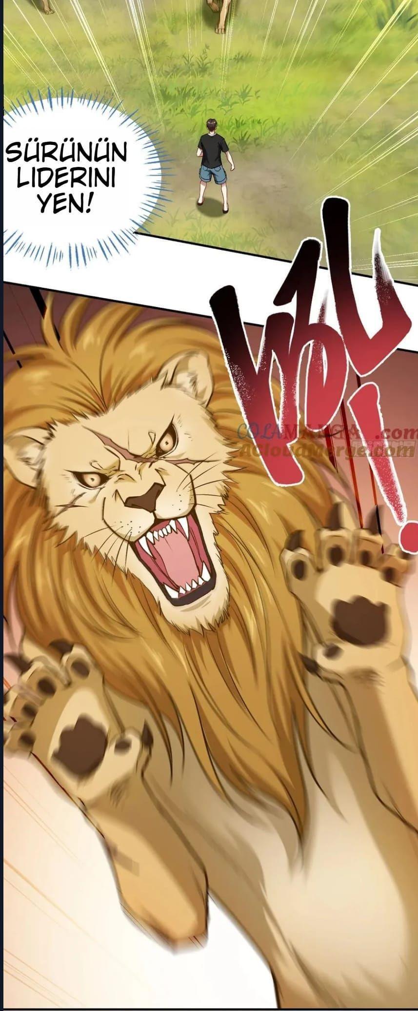 25-cmnq2268807i4ucwa0pciz3a1