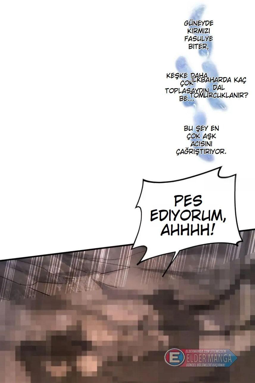 17-cmnq2268807i4ucwa0pciz3a1