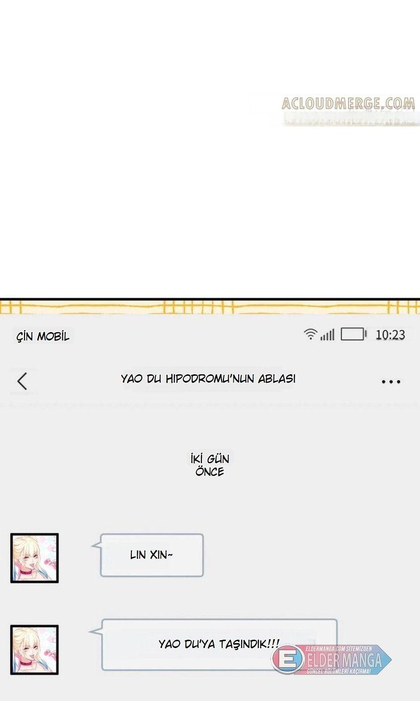 50-cmnq2268807i4ucwa0pciz3a1