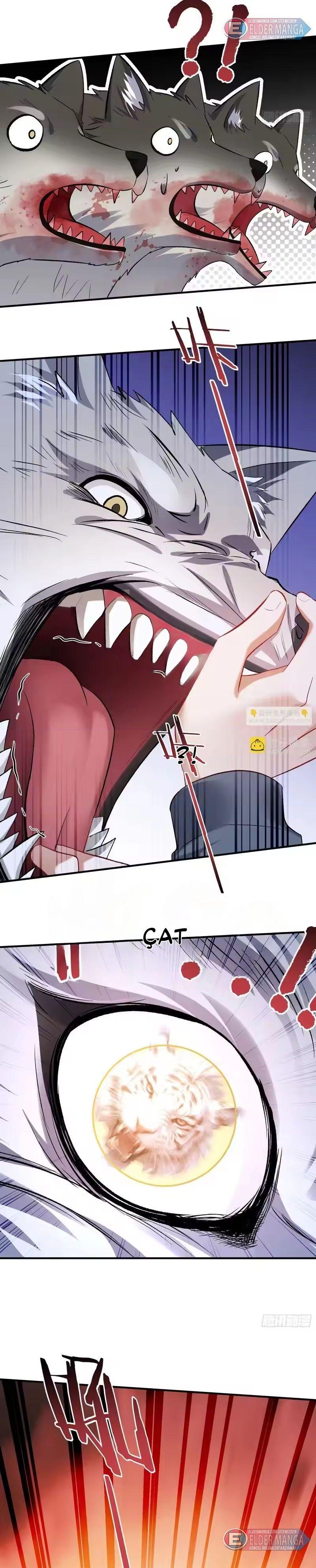 8-cmnq2268807i4ucwa0pciz3a1