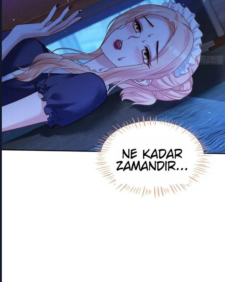 48-cmnq2268807i4ucwa0pciz3a1