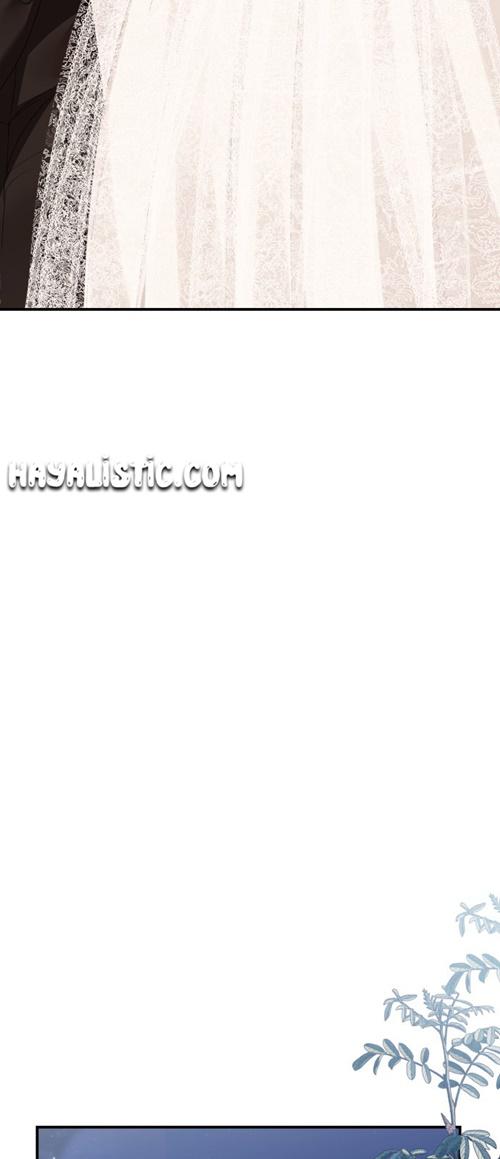 50-cm2xdfr0s0001tt82570od8ls