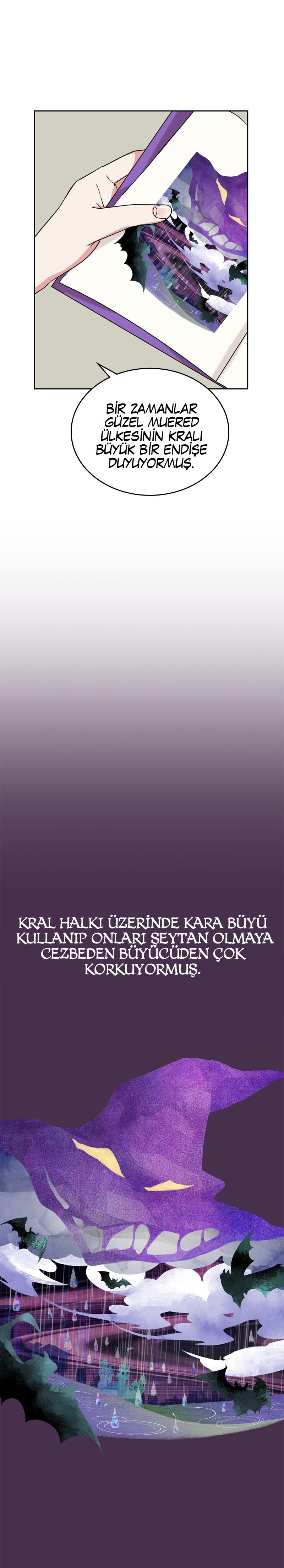 13-cm2xdfr0s0001tt82570od8ls