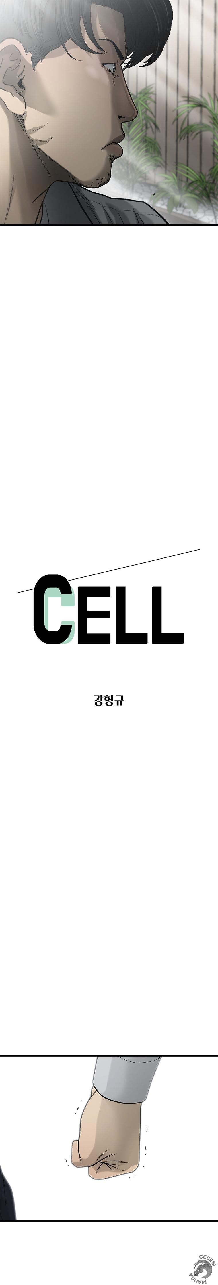 3-cm2xdfr0s0001tt82570od8ls