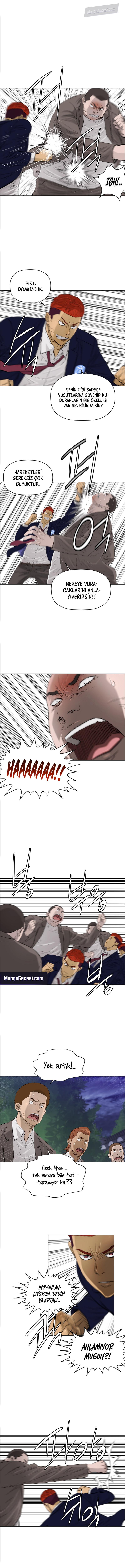 8-cm2xdfr0s0001tt82570od8ls