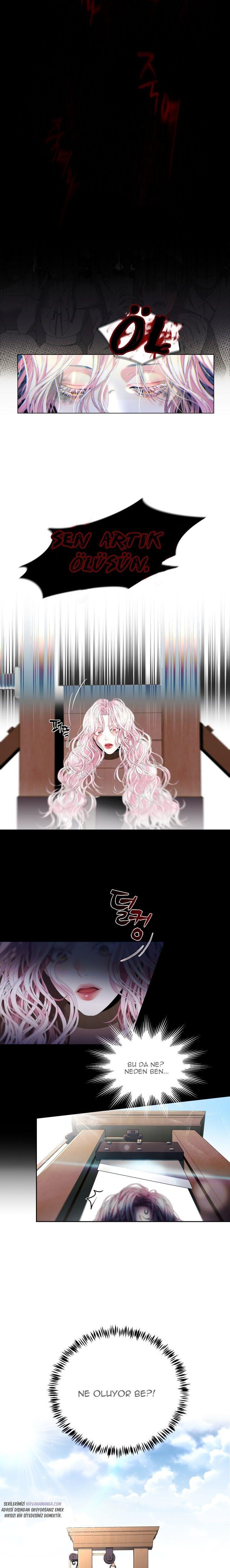11-cmnq2268807i4ucwa0pciz3a1