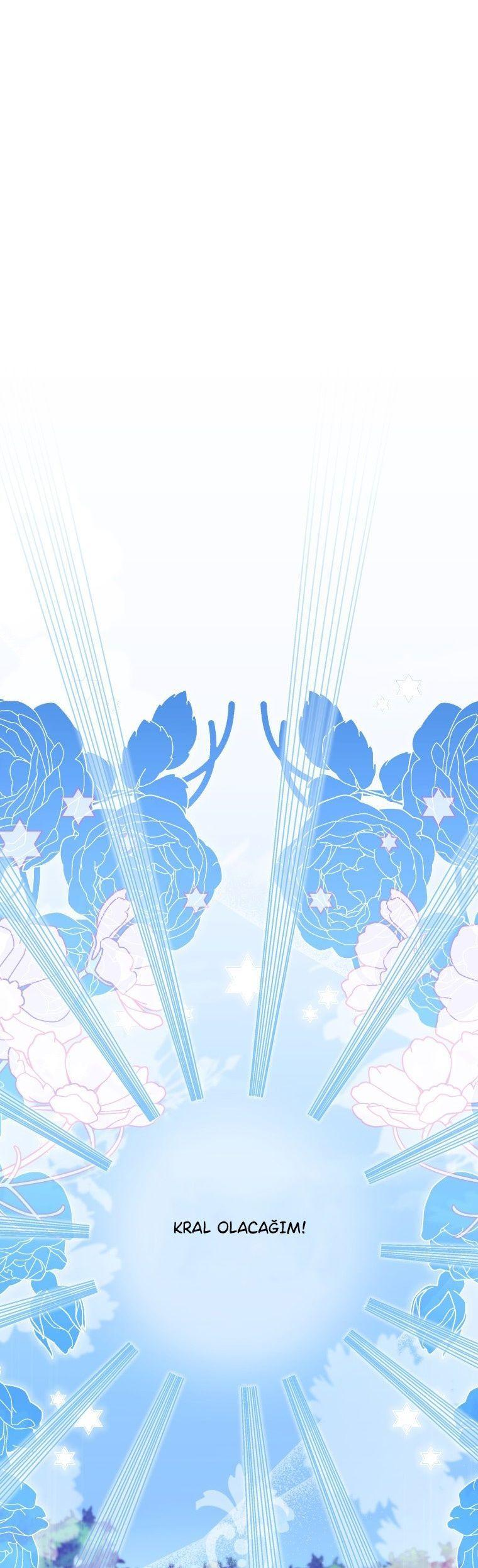 28-cmnq2268807i4ucwa0pciz3a1