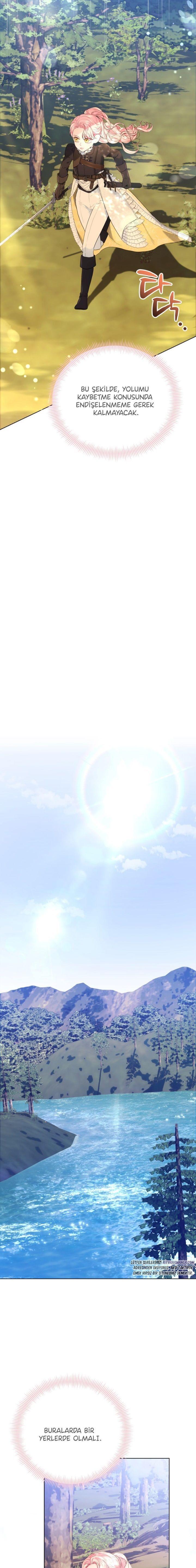 7-cmnq2268807i4ucwa0pciz3a1