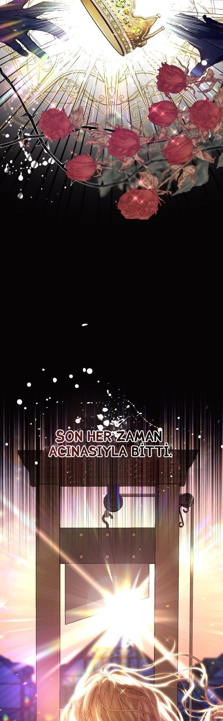 27-cmnq2268807i4ucwa0pciz3a1