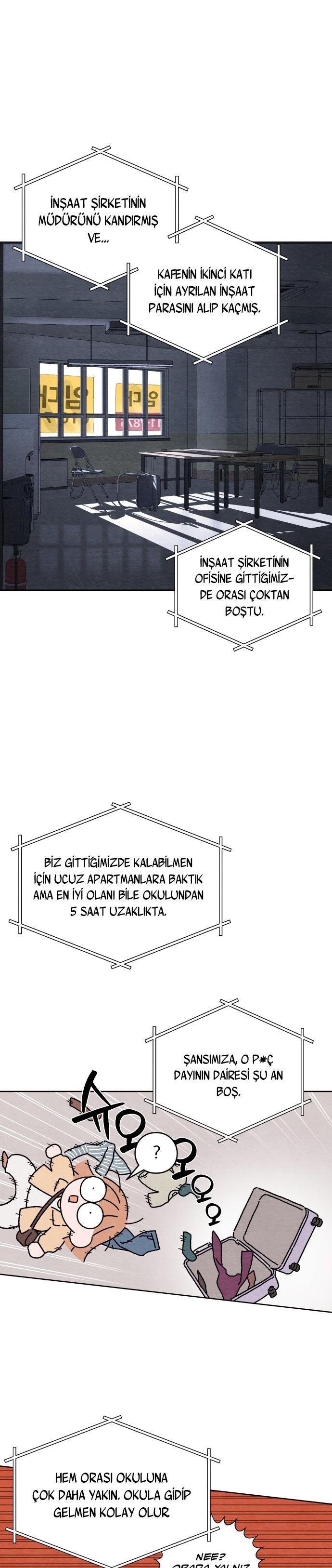 5-cm2xdfr0s0001tt82570od8ls