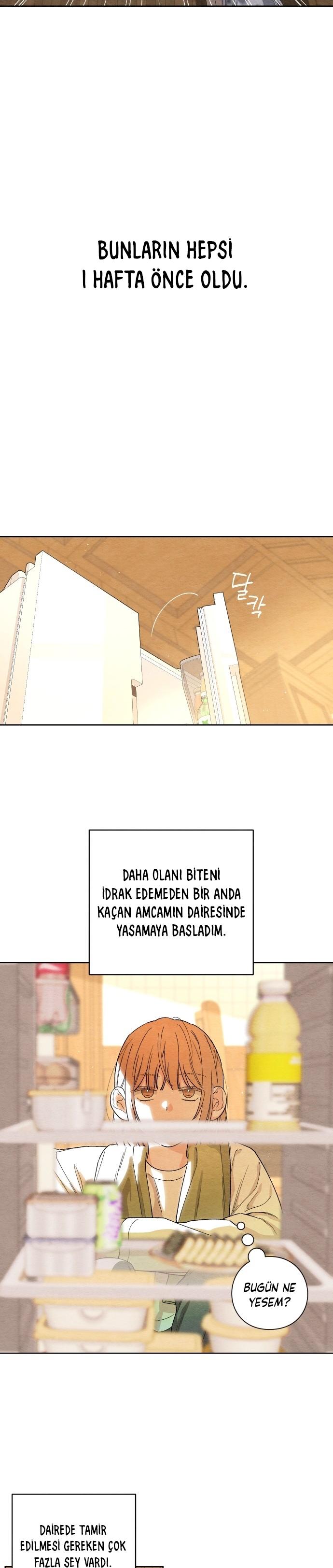 8-cm2xdfr0s0001tt82570od8ls