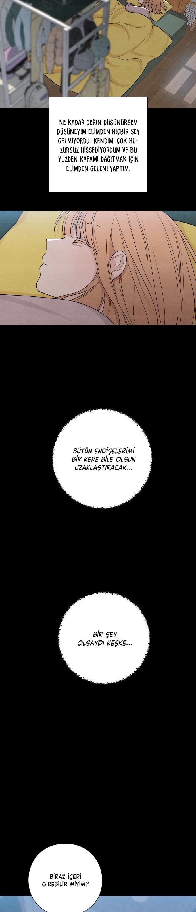 20-cm2xdfr0s0001tt82570od8ls