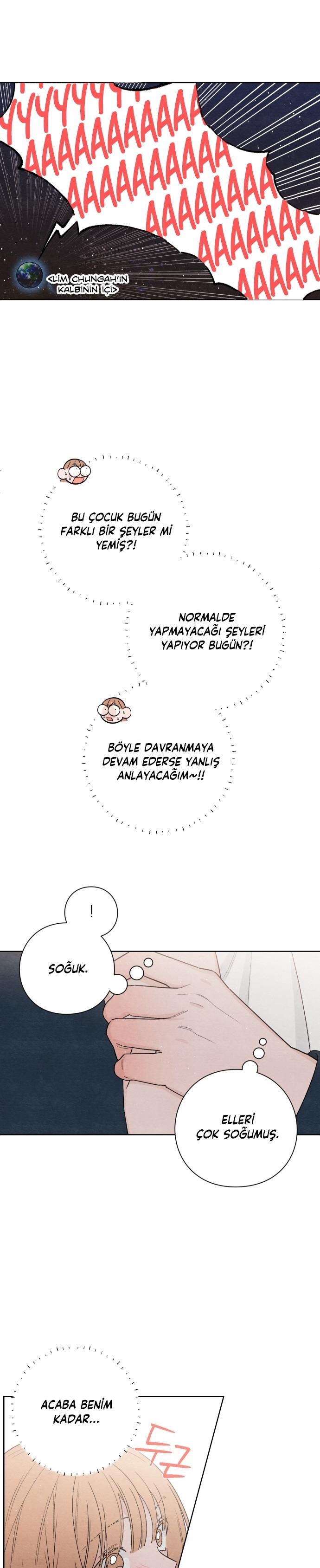 21-cm2xdfr0s0001tt82570od8ls