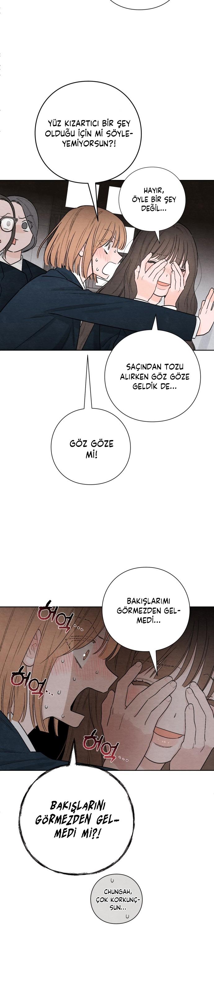 20-cm2xdfr0s0001tt82570od8ls