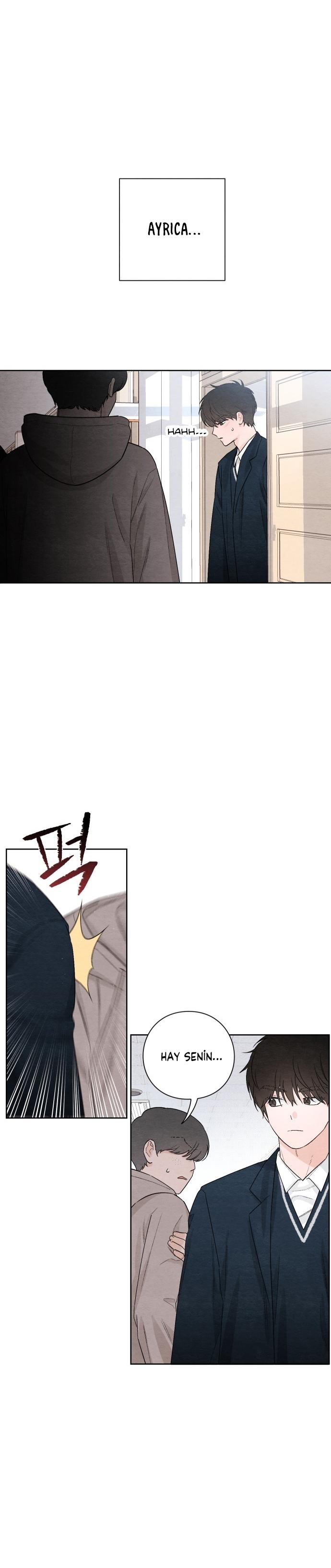 3-cm2xdfr0s0001tt82570od8ls