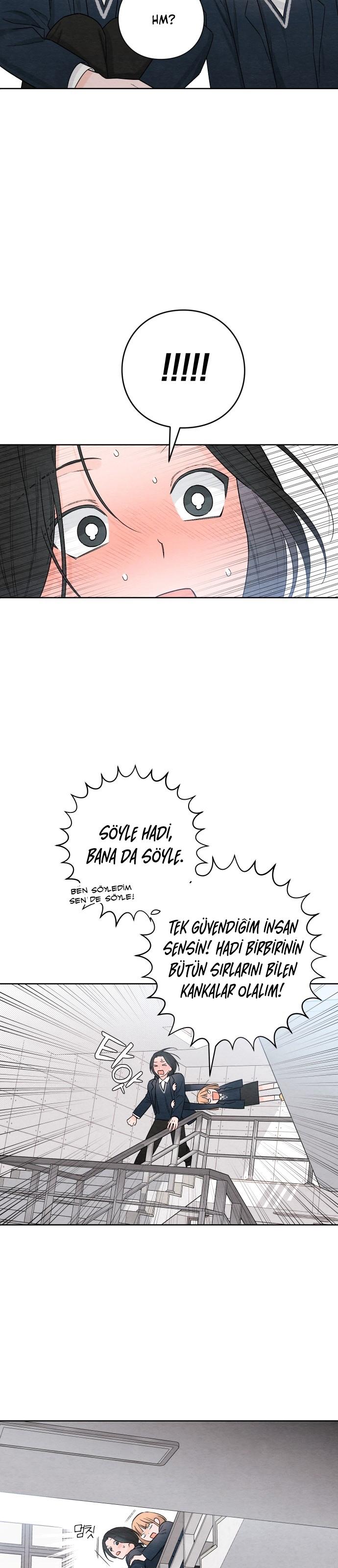 23-cm2xdfr0s0001tt82570od8ls
