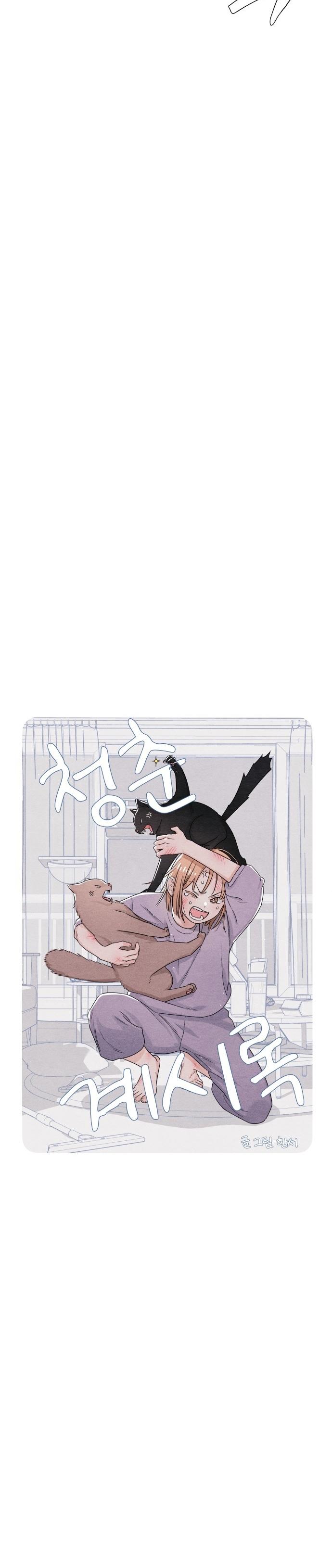 8-cm2xdfr0s0001tt82570od8ls