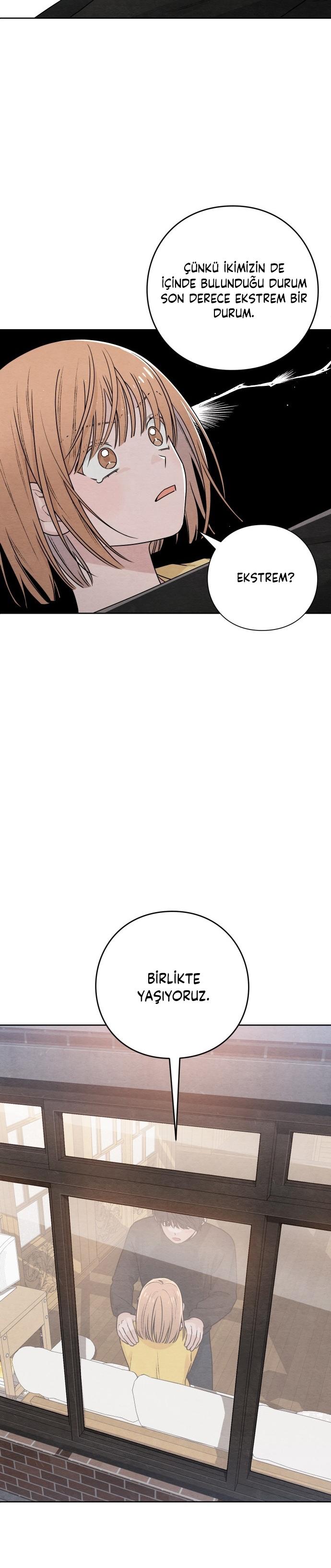 3-cm2xdfr0s0001tt82570od8ls