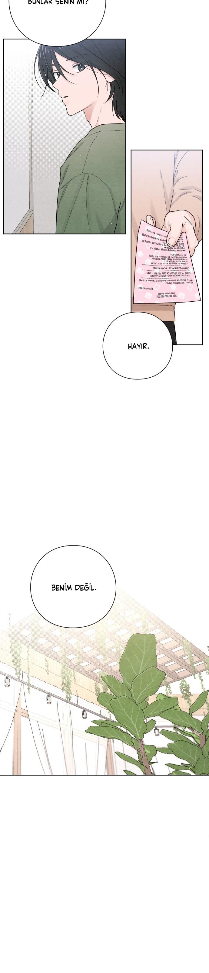 11-cm2xdfr0s0001tt82570od8ls