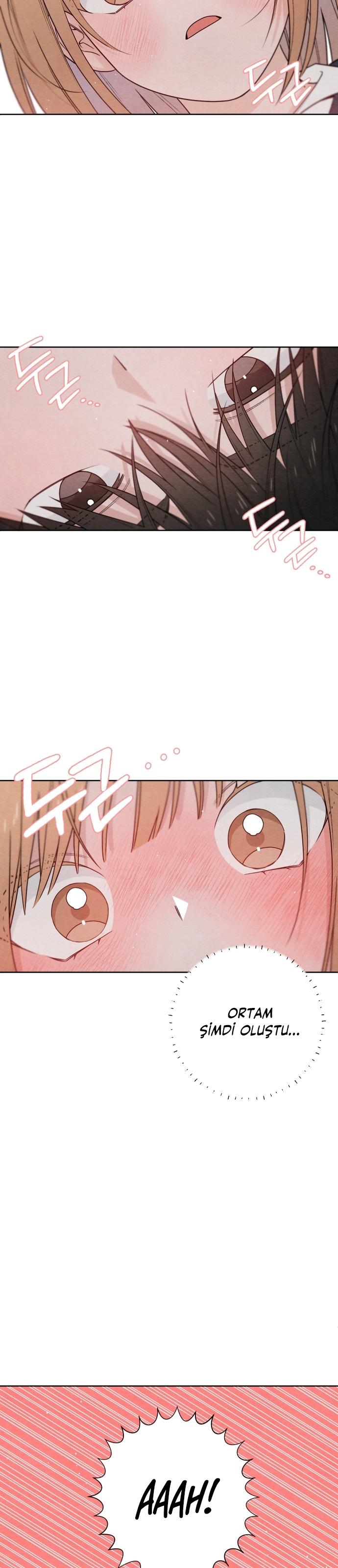 24-cm2xdfr0s0001tt82570od8ls