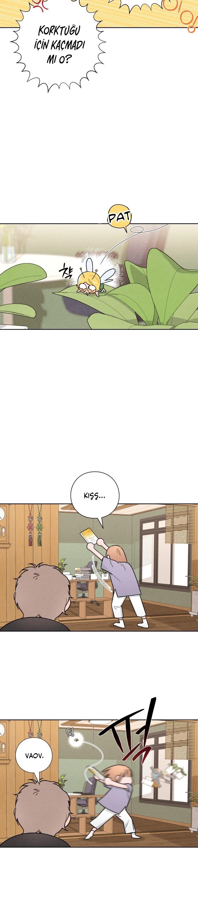 23-cm2xdfr0s0001tt82570od8ls