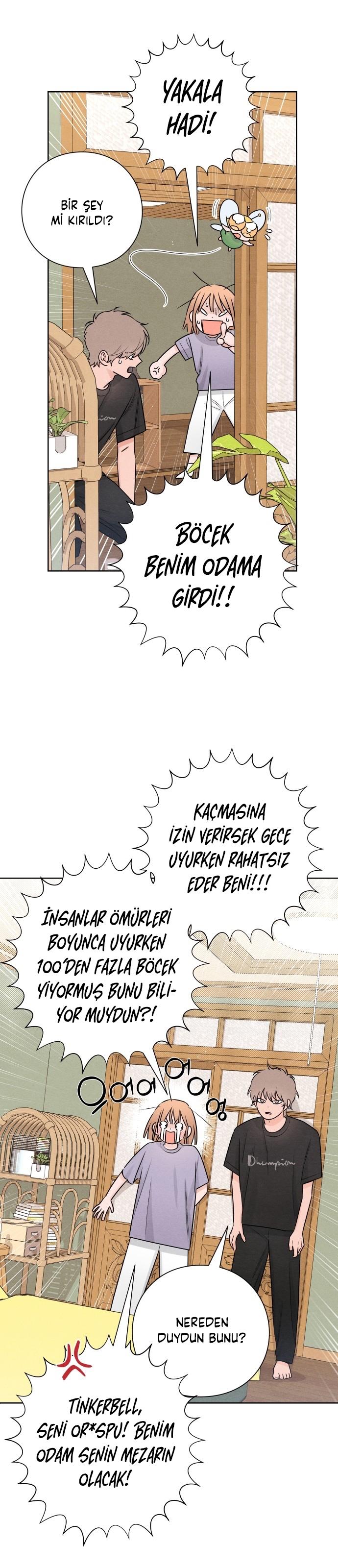 24-cm2xdfr0s0001tt82570od8ls