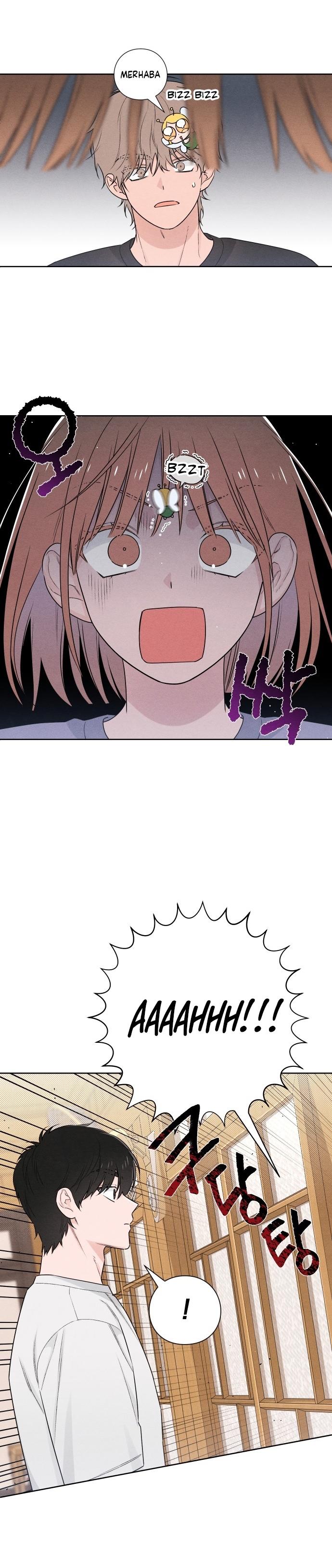 6-cm2xdfr0s0001tt82570od8ls