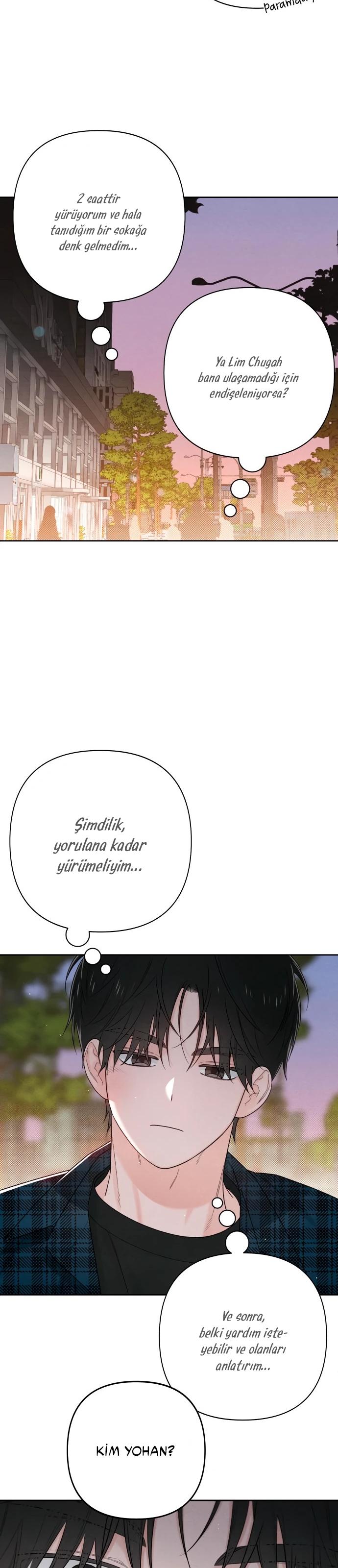 24-cm2xdfr0s0001tt82570od8ls