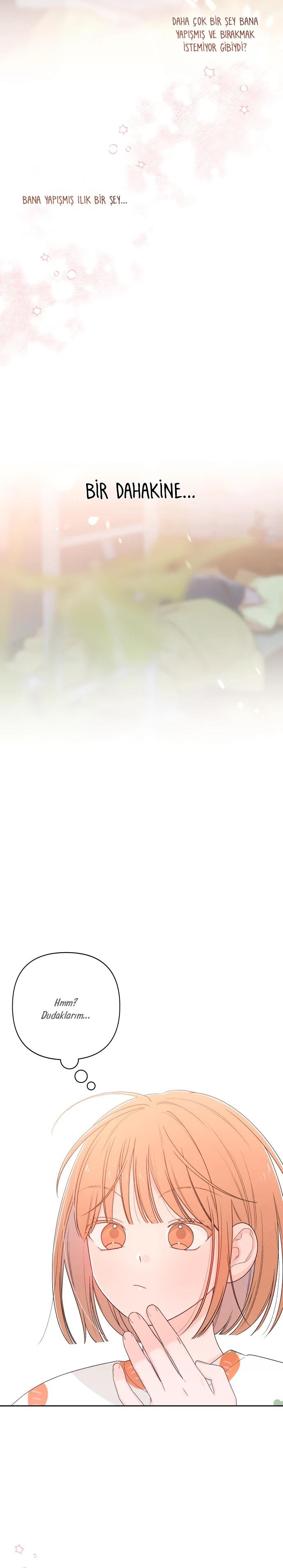23-cm2xdfr0s0001tt82570od8ls