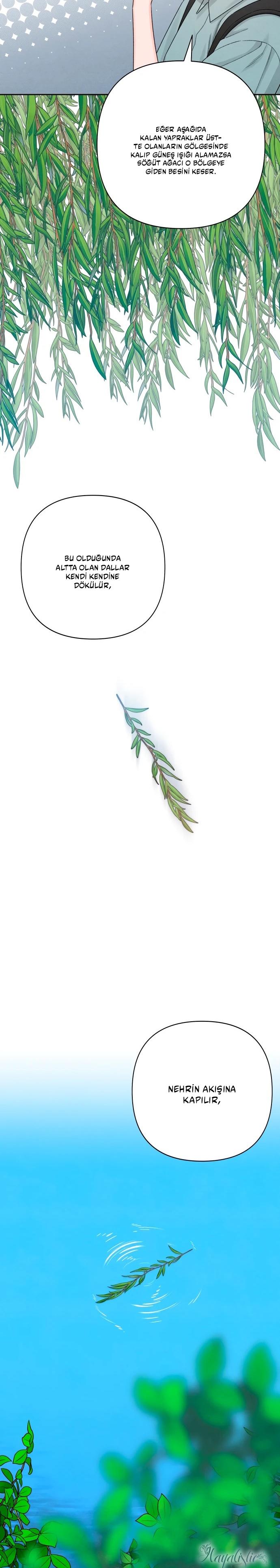 6-cm2xdfr0s0001tt82570od8ls