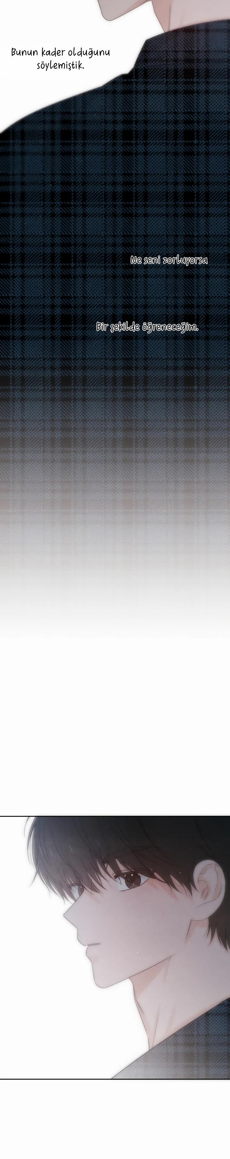 31-cm2xdfr0s0001tt82570od8ls