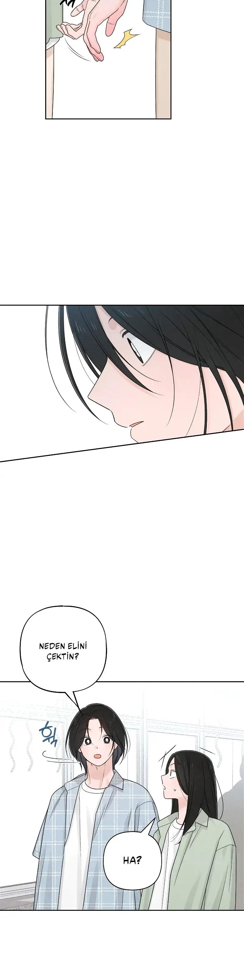 17-cm2xdfr0s0001tt82570od8ls
