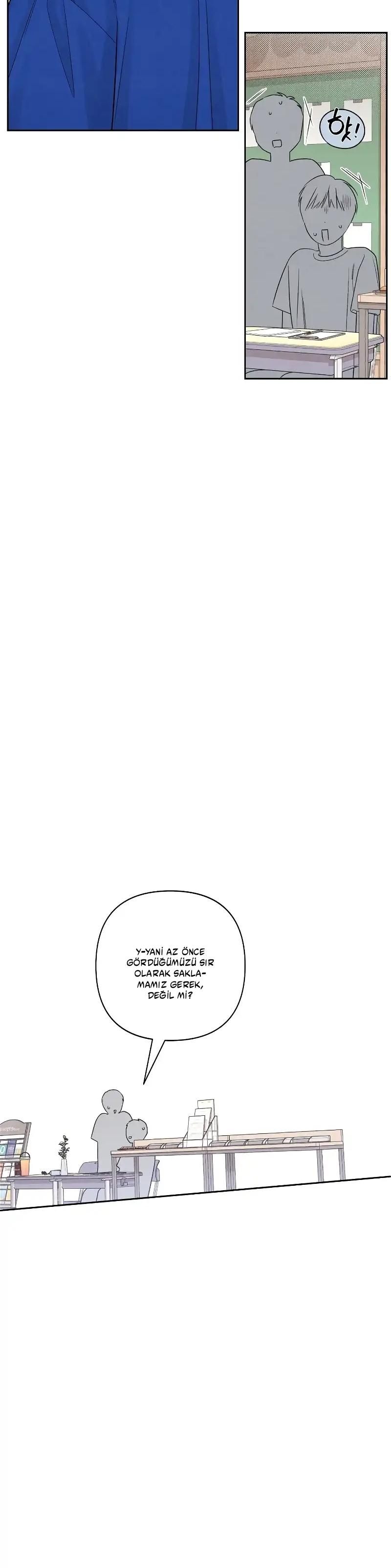 4-cm2xdfr0s0001tt82570od8ls