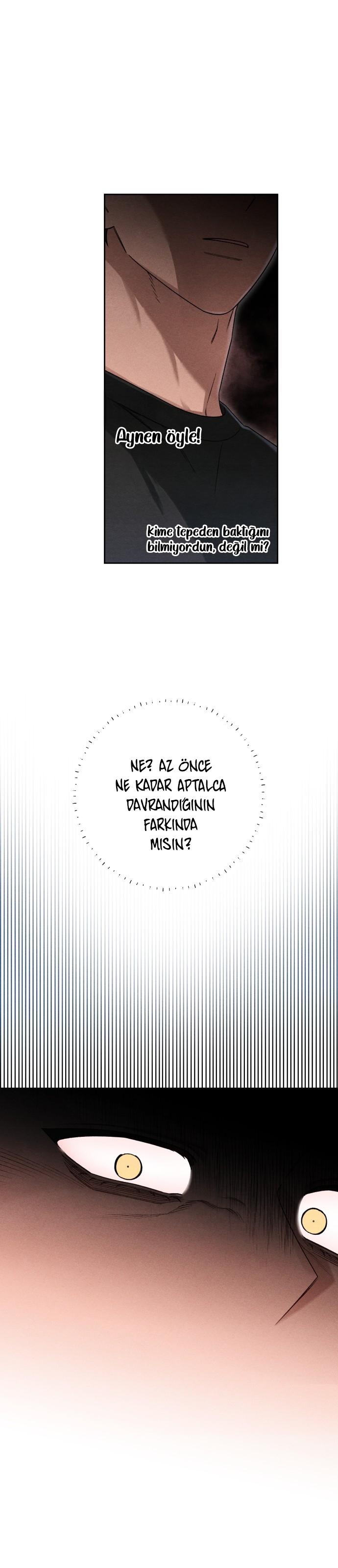 7-cm2xdfr0s0001tt82570od8ls