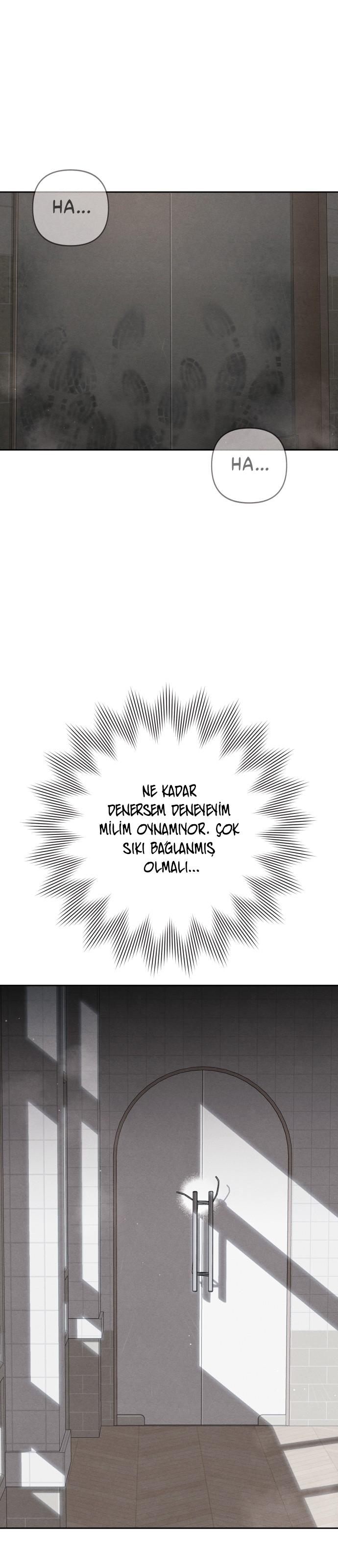 2-cm2xdfr0s0001tt82570od8ls