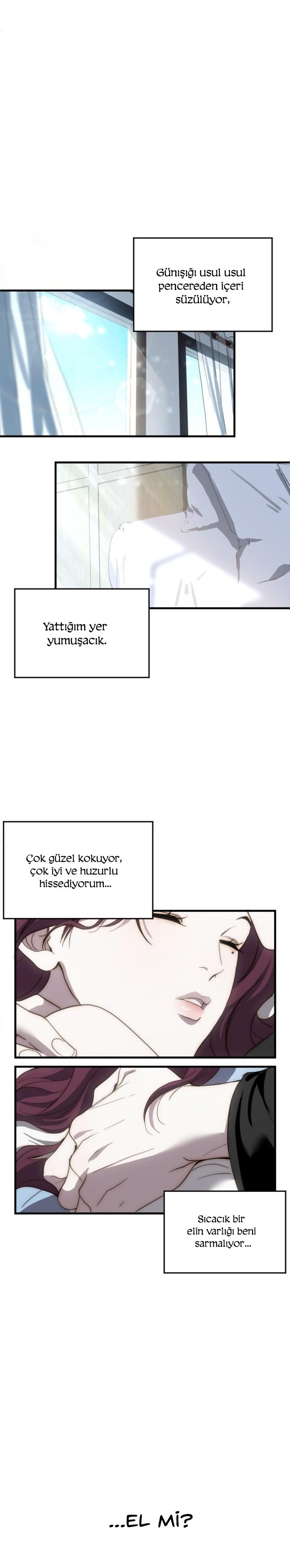 22-cm2xdfr0s0001tt82570od8ls