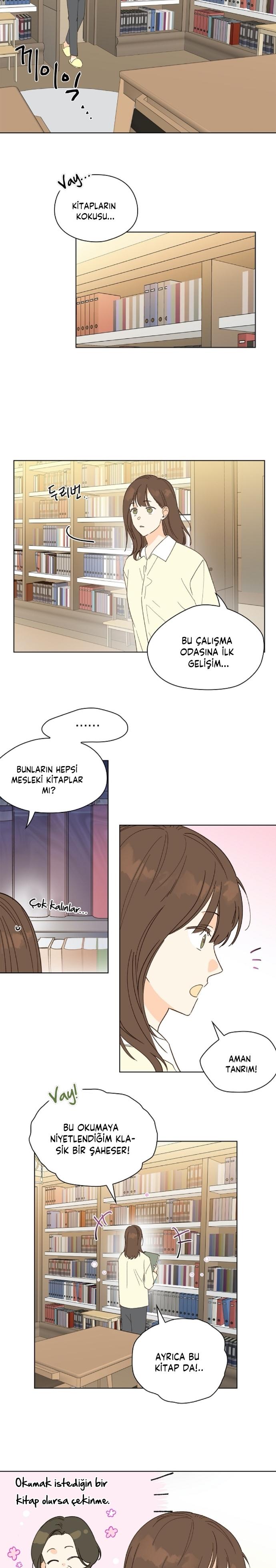 13-cm2xdfr0s0001tt82570od8ls