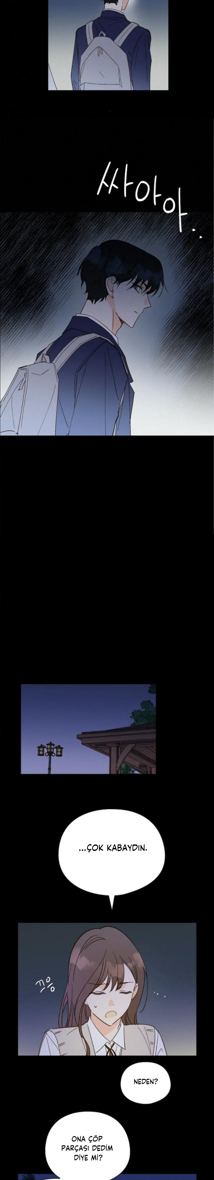 12-cm2xdfr0s0001tt82570od8ls