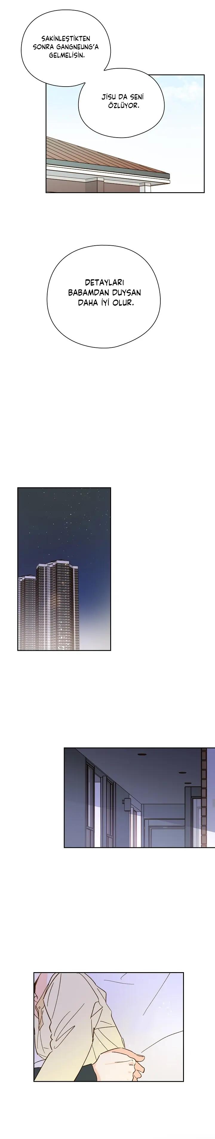 13-cm2xdfr0s0001tt82570od8ls