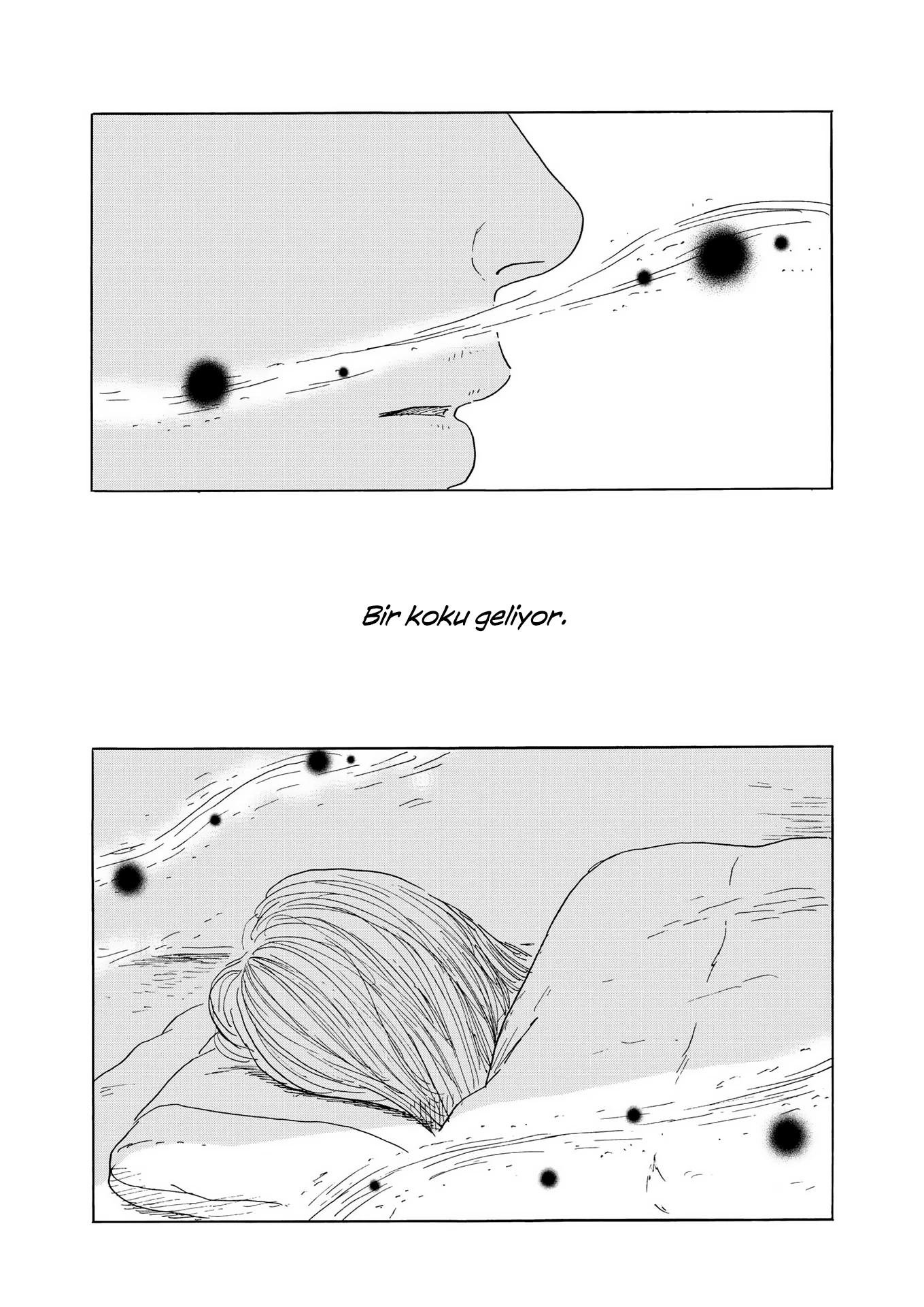 15-cm5ya3xt20000eovjogi0rsko