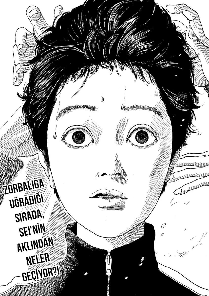 24-cm5ya3xt20000eovjogi0rsko